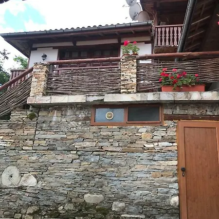 Sharkov 2*
